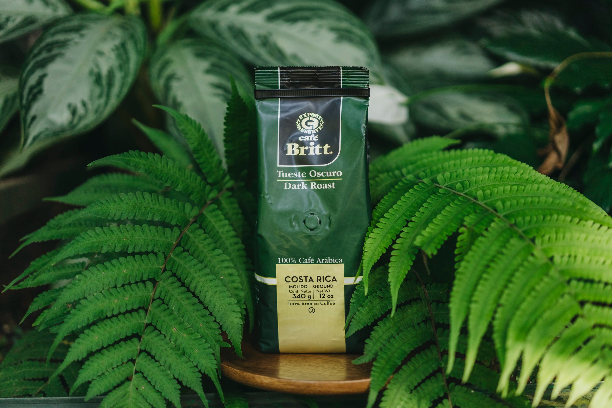 Find Your Perfect Coffee Match: Take the Coffee Quiz Today! – Café Britt